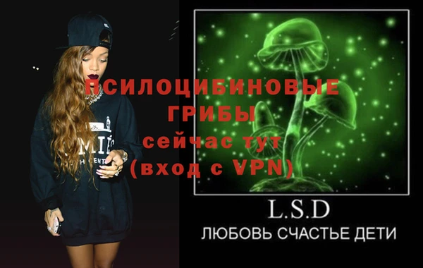 дурь Няндома