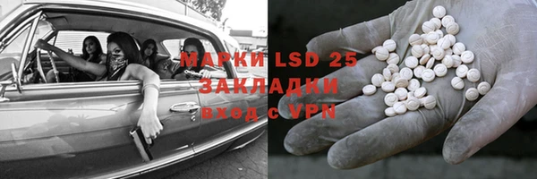 дурь Няндома