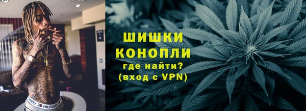 дурь Няндома