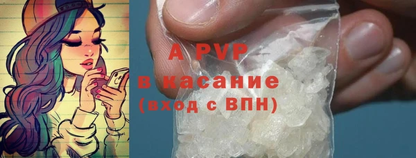 дурь Няндома