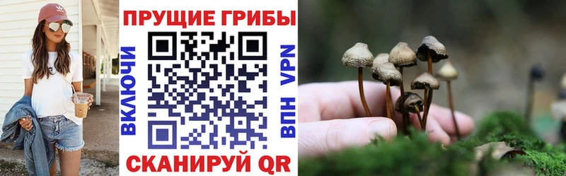 Псилоцибиновые грибы мухоморы цены Руза